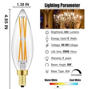 Elegant LED Filament Bulbs with Gold Base